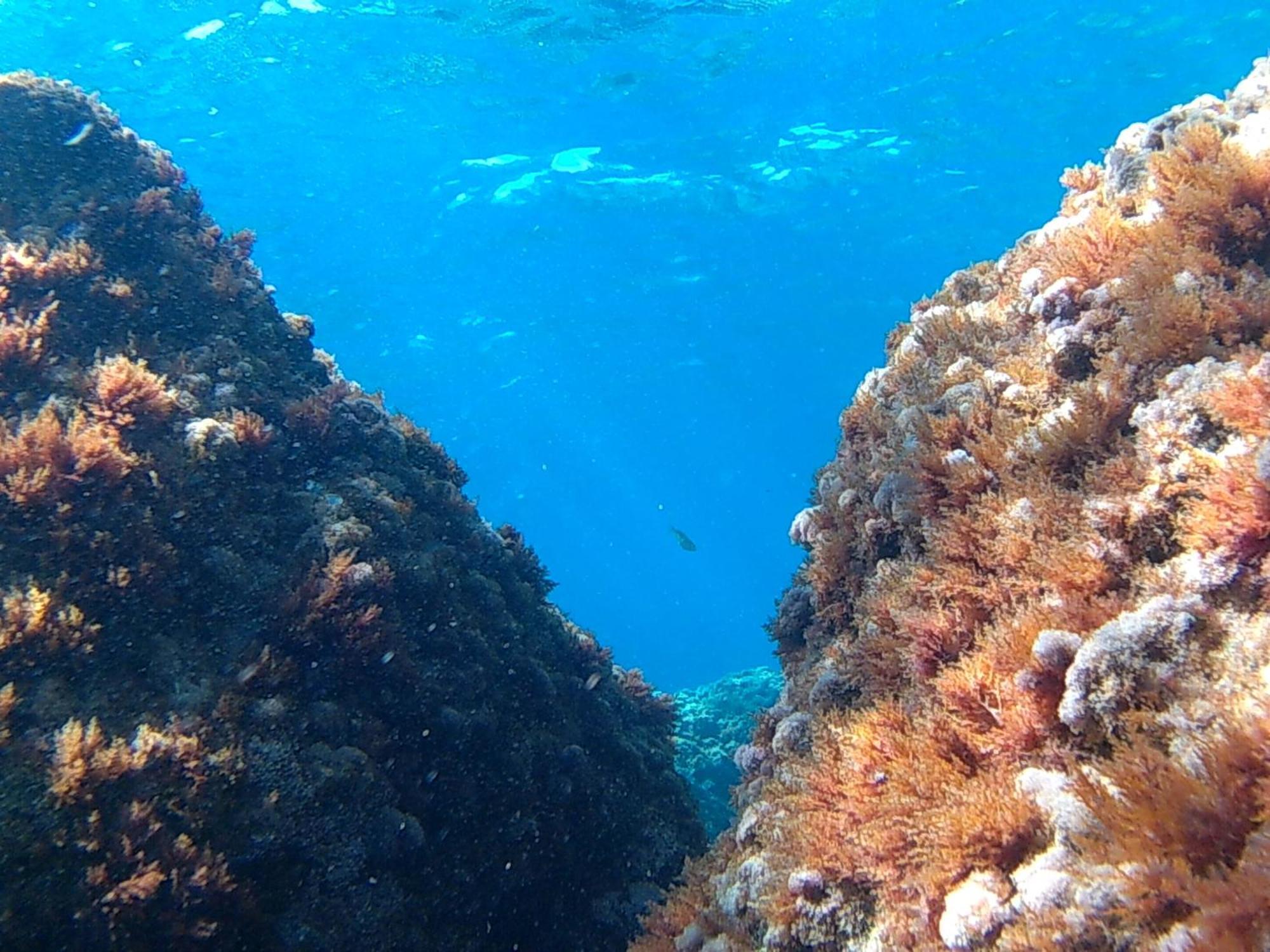 Bilocale Panoramico “Lo Sguardo” Διαμέρισμα Massa Lubrense Εξωτερικό φωτογραφία